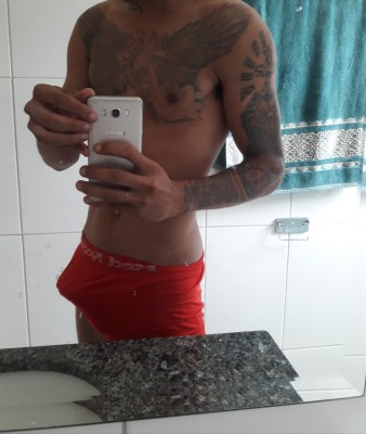 Tubarão