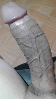 ALEJANDRAGRINGA23CM