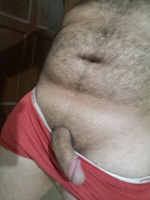 Novinho bom
