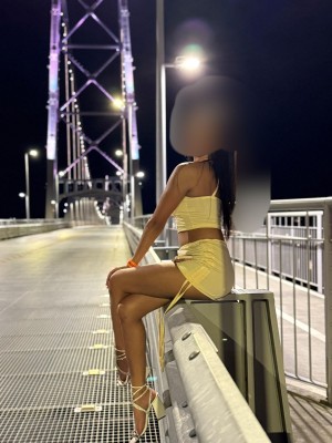 Cia das Gatas
