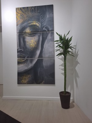 BEL- TOP 5 BRASIL - https://studiotantrico.com.br/