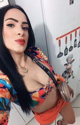 Estou de passagem