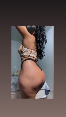 Gatinha do sul