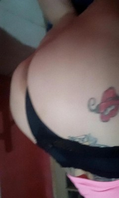 Morena penelope