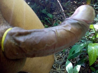 Big comedor