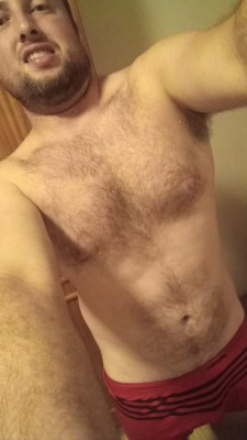 Gringo carinhoso