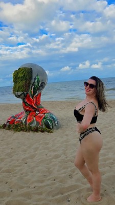 Lulu suculenta