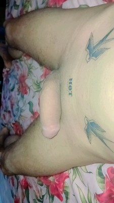 24cmdotado