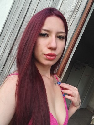 @novinha