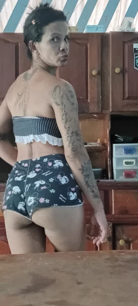 Oi lindos bora