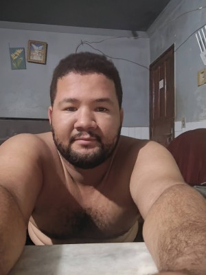 Urso Passivo cabo de santo Agostinho