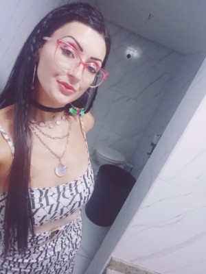 Gata da fronteira presencial chamada de video