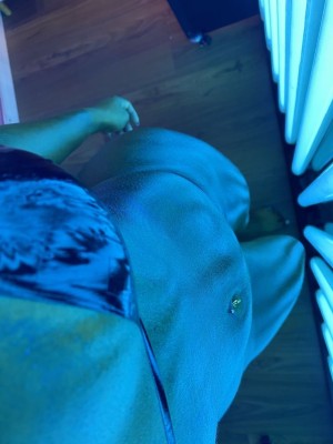 Vivi