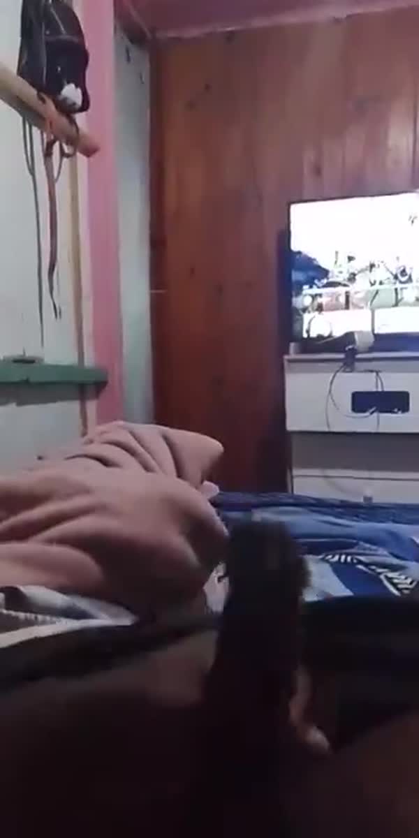 Vídeo do anúncio