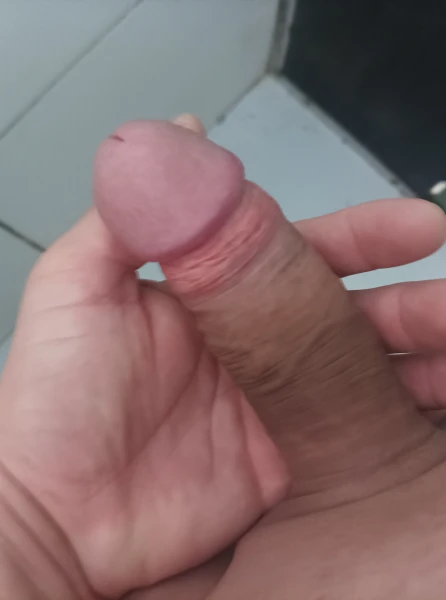 Acompanhante novo no ramo 