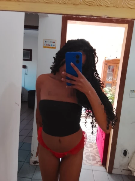 Gatas em palhoça 