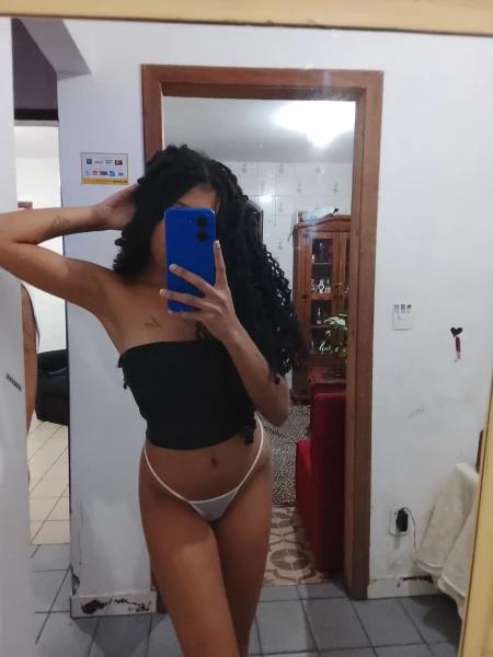 Gatas em palhoça 