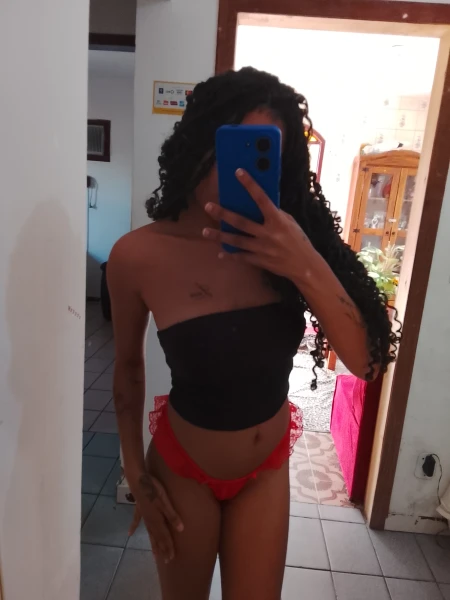 Gatas em palhoça 
