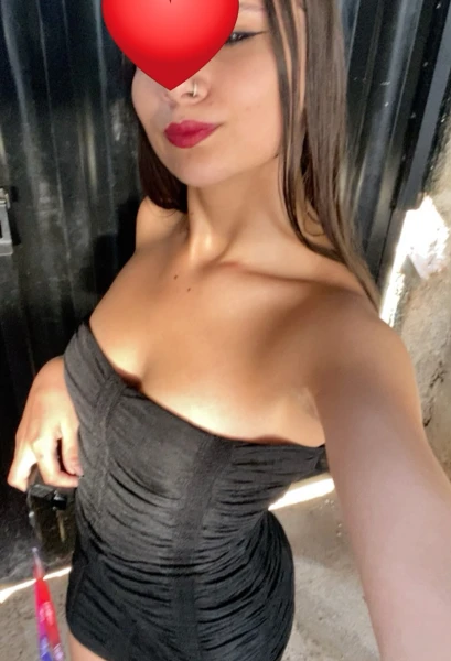 GATAS SAFADAS