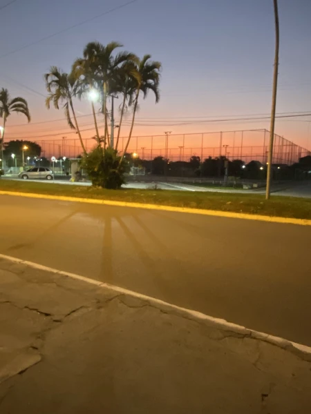 companhante de luxo colombo