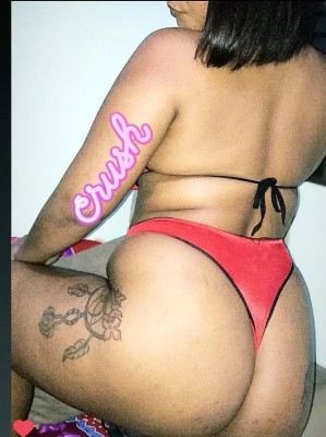 Novinha