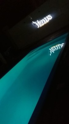 Venus Acompanhantes