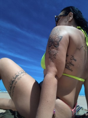Gordelicia safada