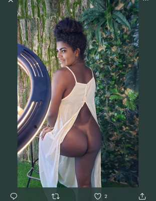 Gata preta