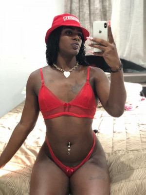 Gata preta