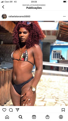 Gata preta