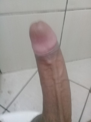 Cacetudo grosso