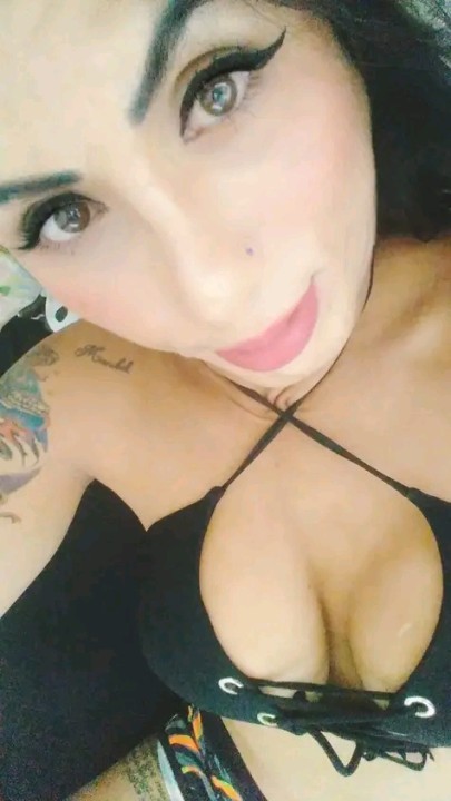 Trans NUMERO NOVO