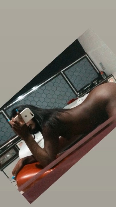 Gata preta