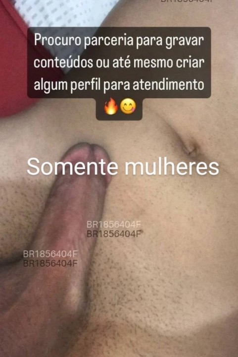 Gato gaúcho